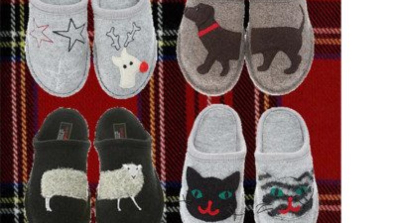 haflinger dachshund slippers