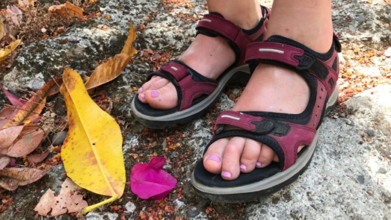 Kommerciel Intuition chokolade Ecco Yucatan Sandal: Comfortably Hike in Heat and Humidity