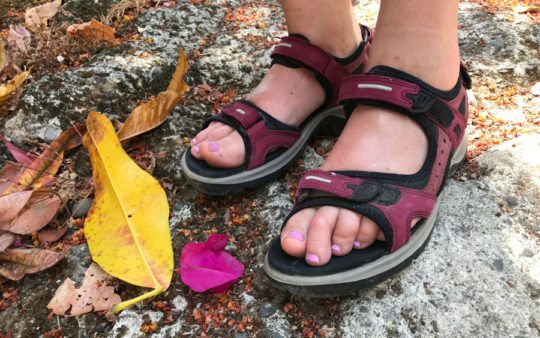 Ecco Yucatan Sandal: Comfortably Hike in and Humidity