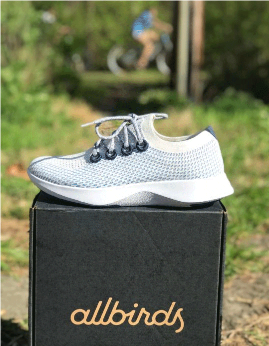 Allbirds-Tree-Dasher-in-Geyser-