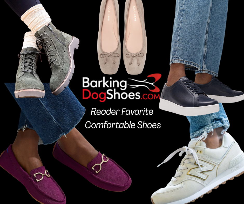 Your paragraph text (12)