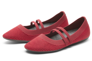 Allbirds Breezer Mary Jane